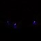 Perfect Holiday 20 LED M5 STRING LIGHTS,4" BULB SPACING,12" LEAD WIRE, W/3AA INDOOR BATTERY BOX